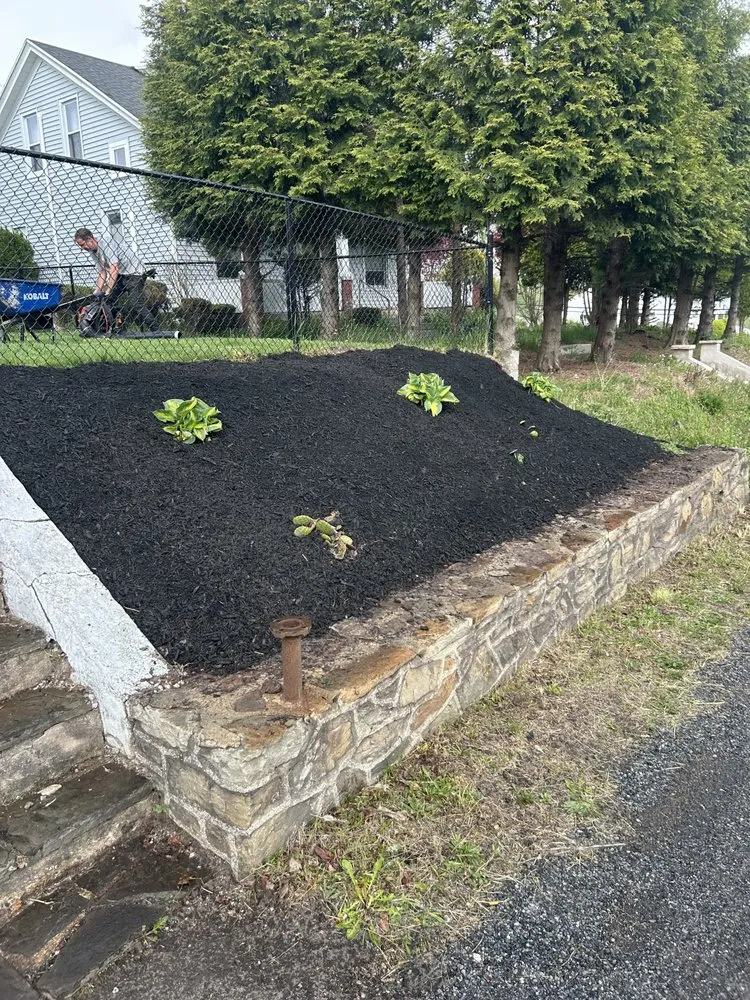 Professional lawn mowing service experts serving Gilberton, PA - LADZ Landscaping