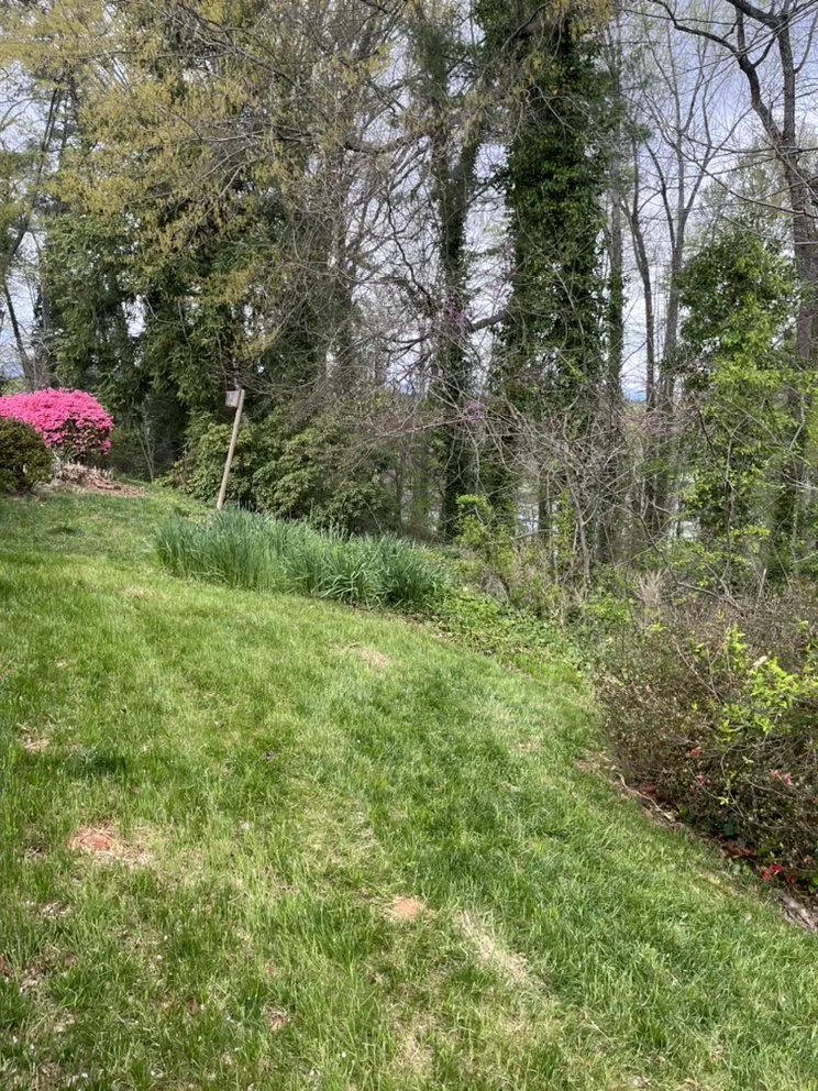 Trusted lawn care service for year-round maintenance in Granite Falls, NC by Lae’s Lawn Care