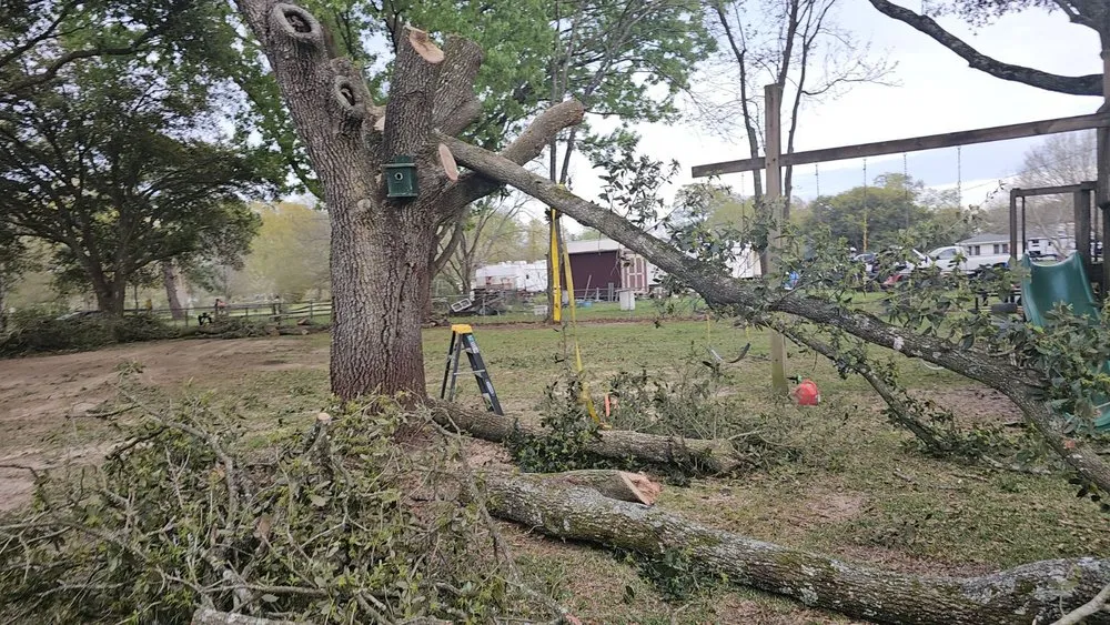 Trusted yard maintenance in Lafayette, LA - Lafayette Lawn & Garden