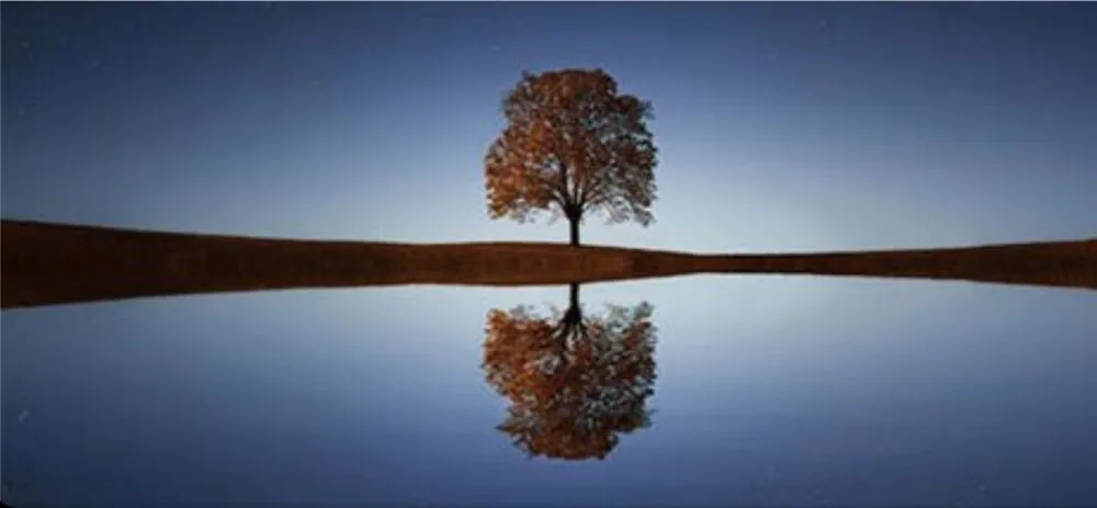 Affordable yard cleanup service in Lafayette, LA - Lafayette Lawn & Garden