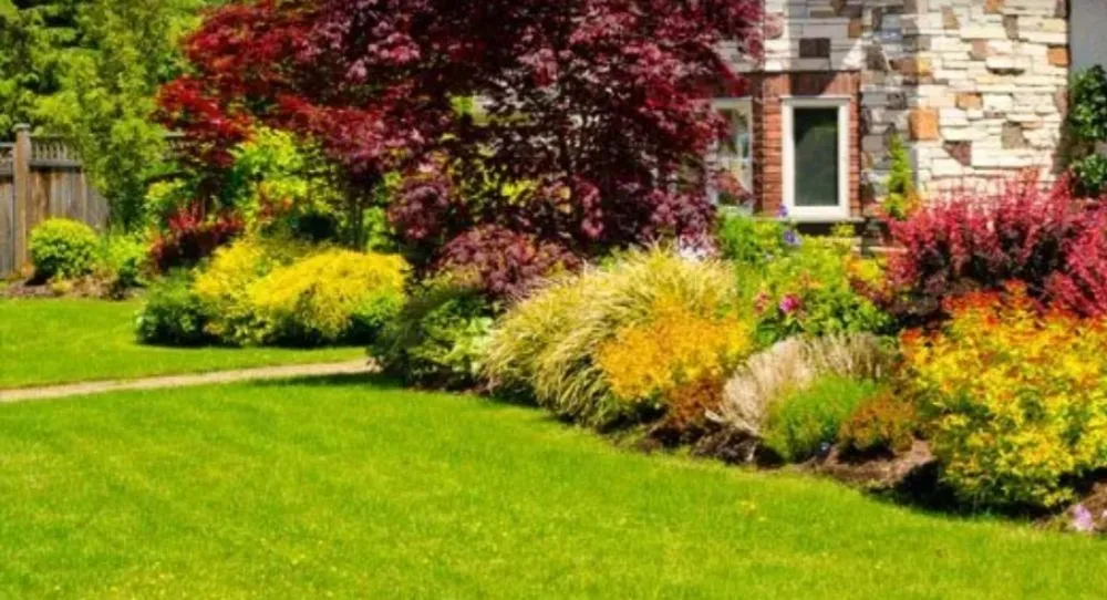 Expert yard cleanup service in Lafayette, LA by Lafayette Lawn & Garden