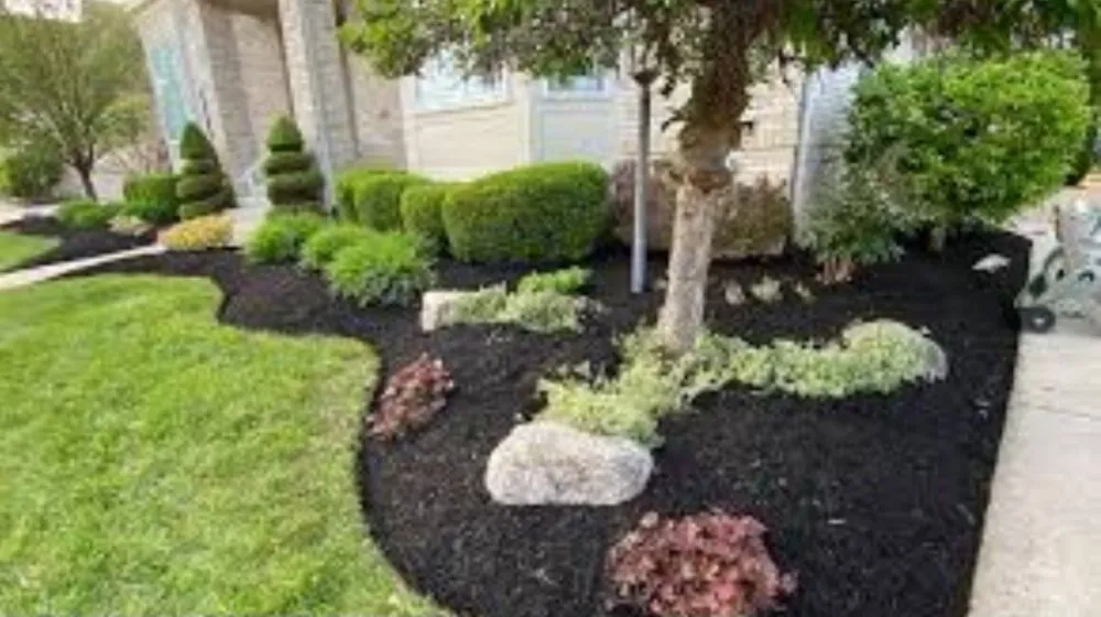 Top-rated landscaping services experts serving Lafayette, LA - Lafayette Lawn & Garden