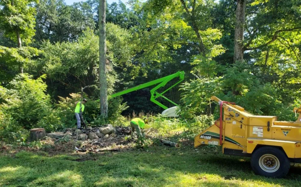 Local garden landscaping in Lafayette, LA - Lafayette Lawn & Garden