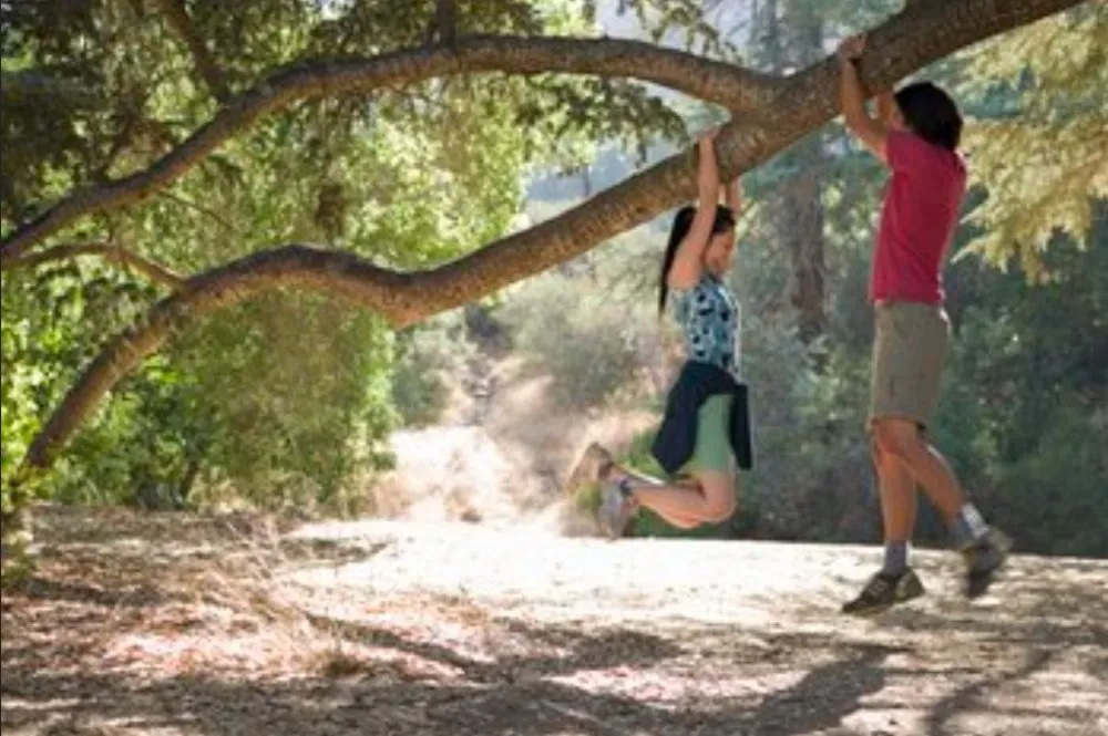 Expert yard cleanup service for residential properties across Lafayette, LA - Lafayette Lawn & Garden