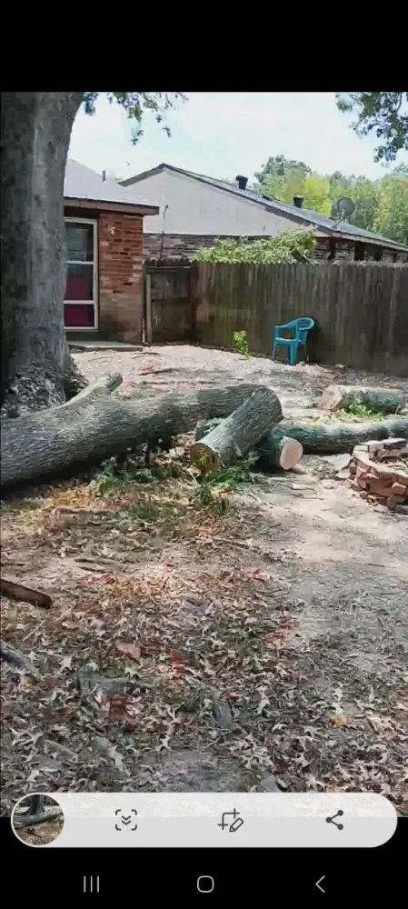 Affordable yard cleanup service in Lafayette, LA by Lafayette Lawn & Garden