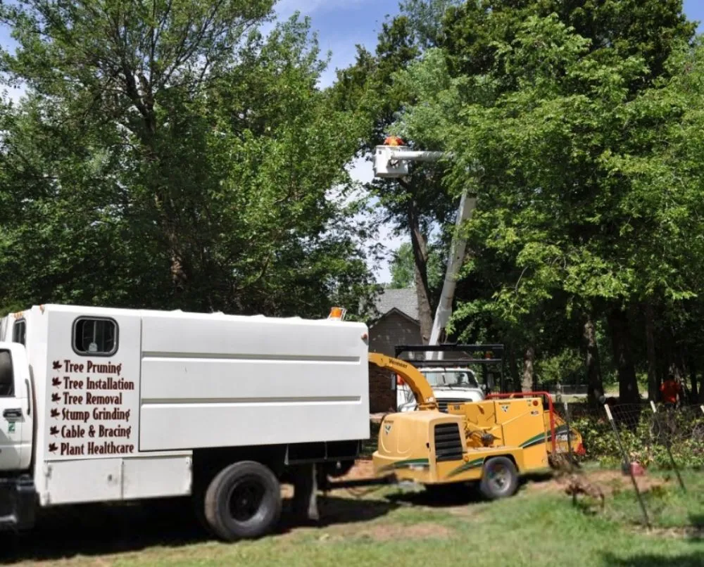 Trusted residential landscaping for residential properties across Lafayette, LA - Lafayette Lawn & Garden