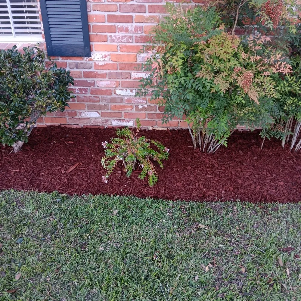 Expert yard cleanup service in Lafayette, LA - Lafayette Lawn & Garden