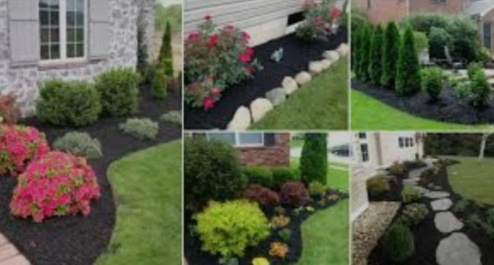 Trusted landscape design for year-round maintenance in Lafayette, LA by Lafayette Lawn & Garden