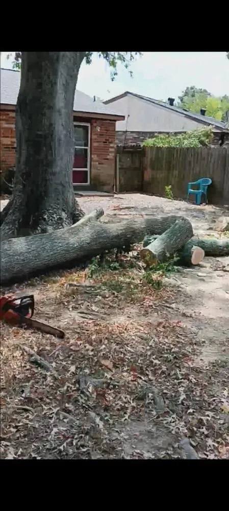 Affordable yard maintenance for residential properties in Lafayette, LA by Lafayette Lawn & Garden