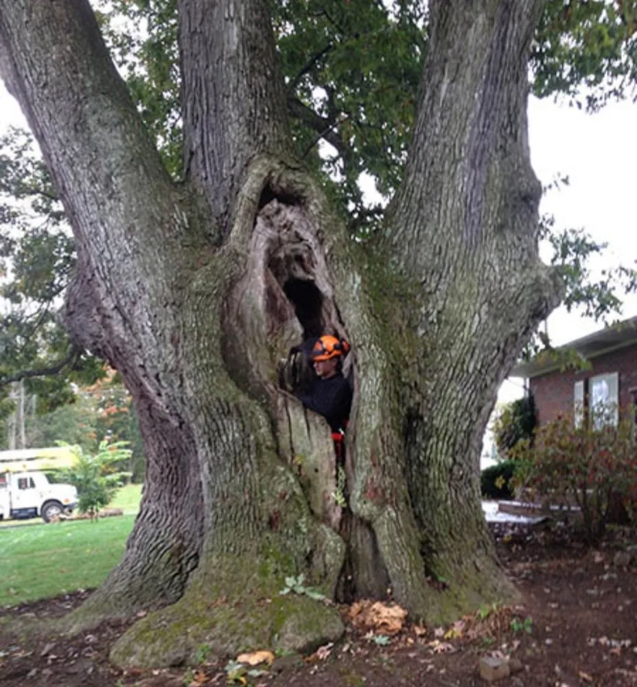 Trusted landscape installation in Lafayette, LA by Lafayette Lawn & Garden