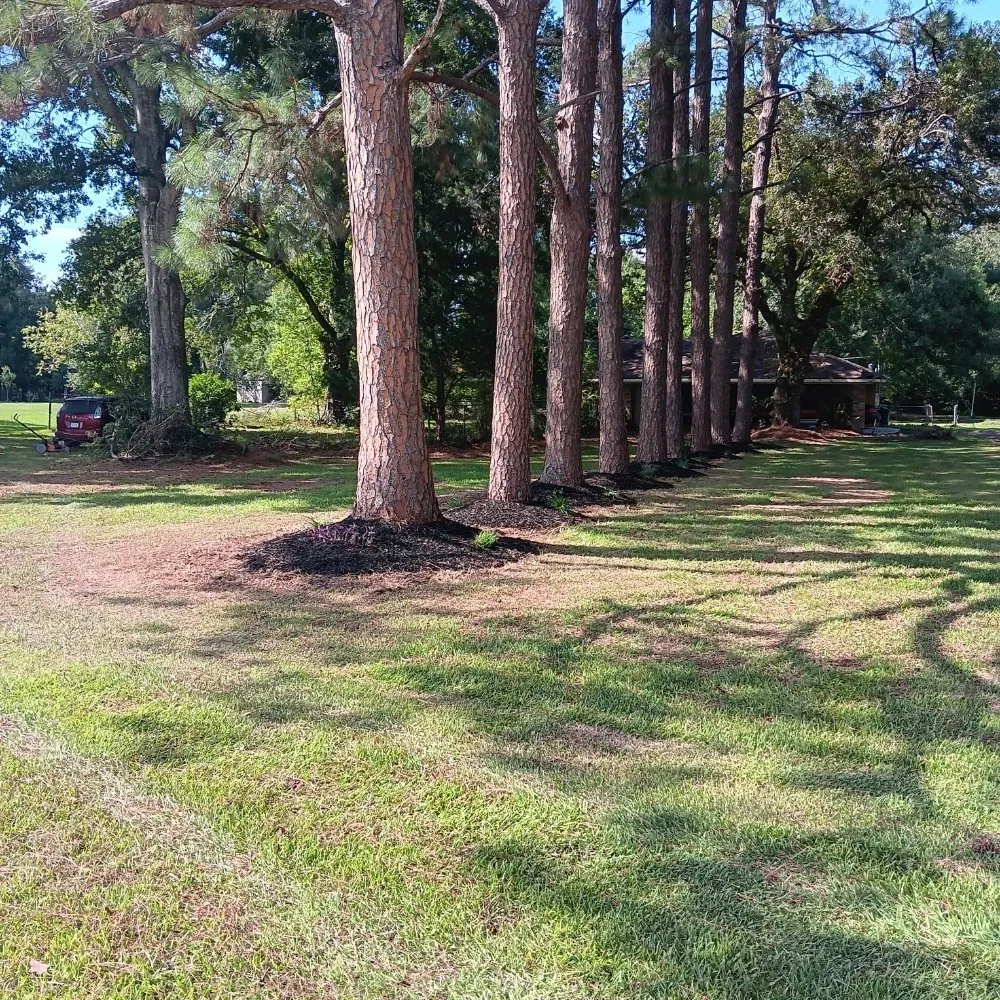 Custom landscape design in Lafayette, LA by Lafayette Lawn & Garden