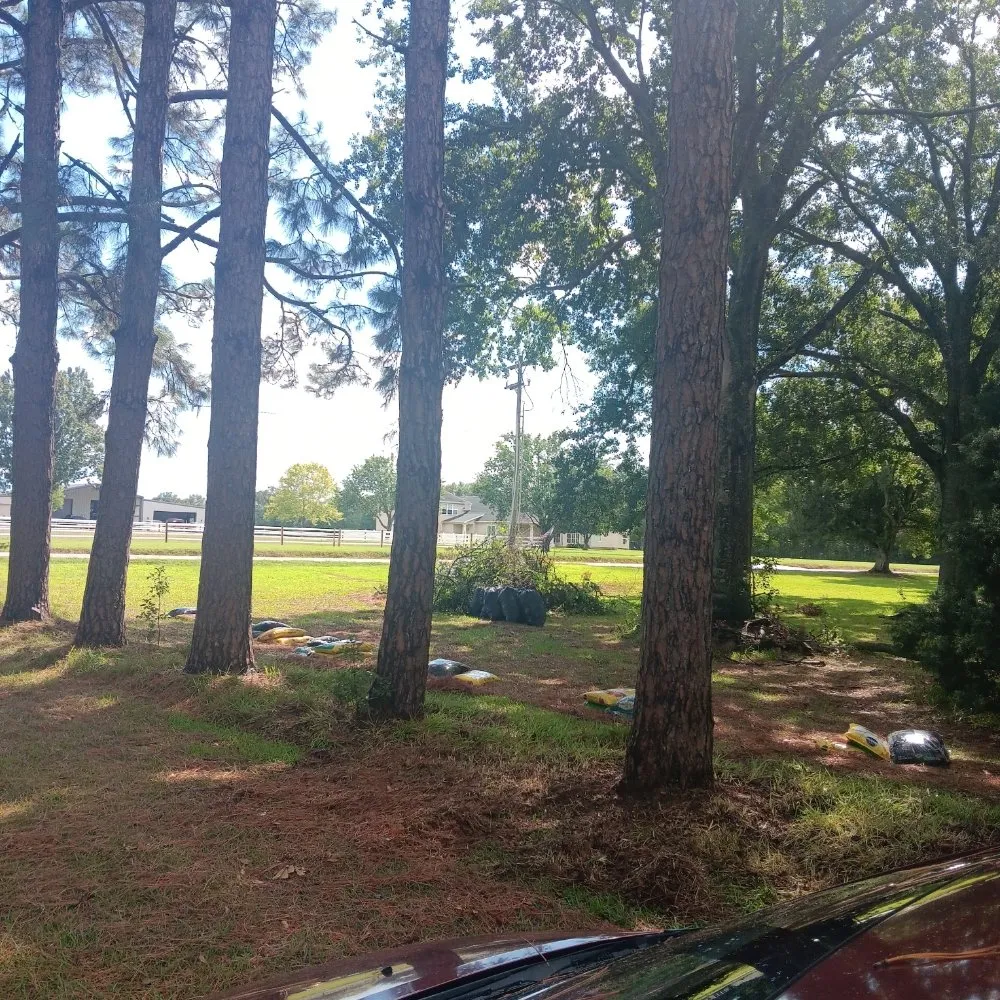 Affordable residential landscaping for year-round maintenance across Lafayette, LA - Lafayette Lawn & Garden