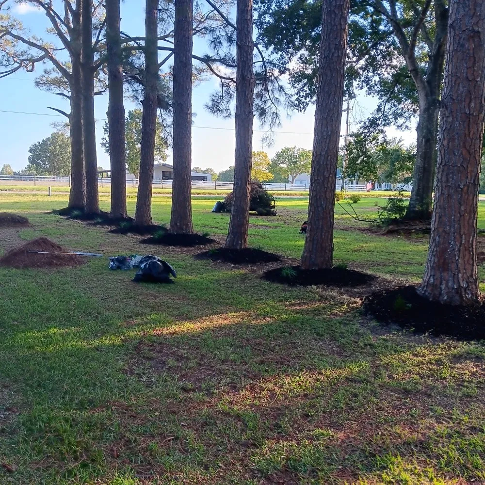 Custom lawn mowing service for year-round maintenance across Lafayette, LA - Lafayette Lawn & Garden