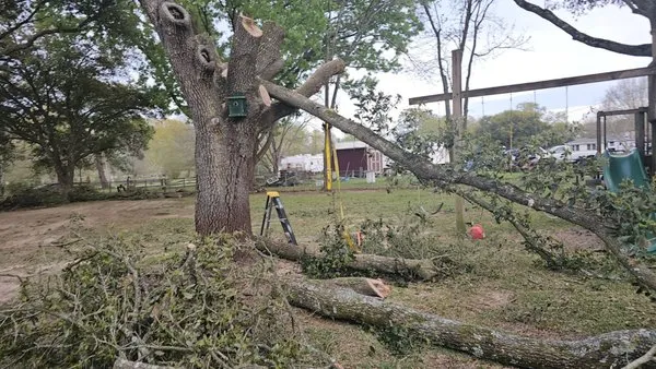 Lafayette Lawn & Garden Logo