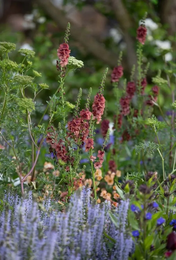 Top-rated lawn care service with custom design across Lafayette, LA - Lafayette Lawn & Landscapes