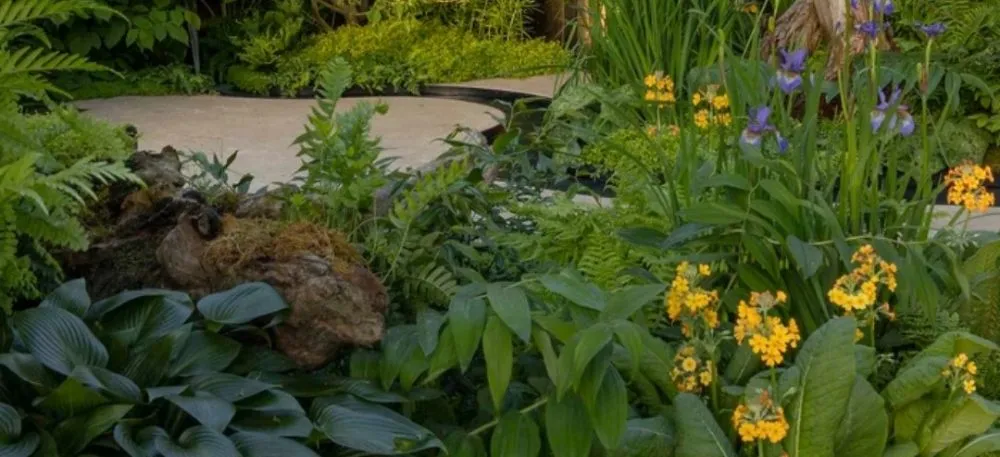 Trusted outdoor landscaping in Lafayette, LA by Lafayette Lawn & Landscapes