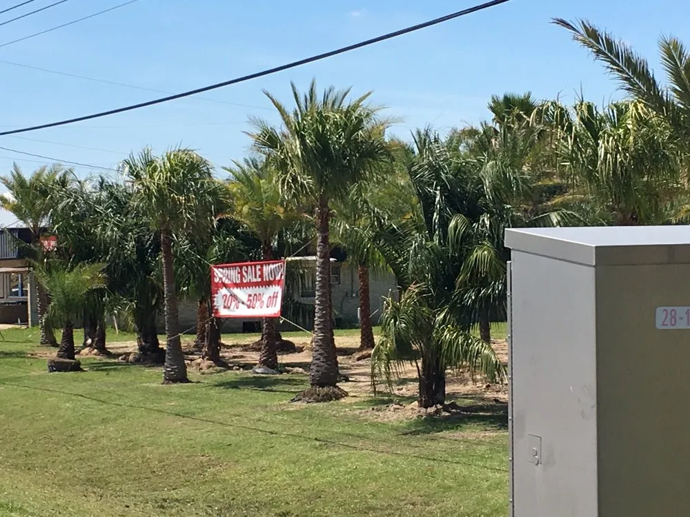 Professional residential landscaping in Lafayette, LA by Lafayette Palms & Land Scaping