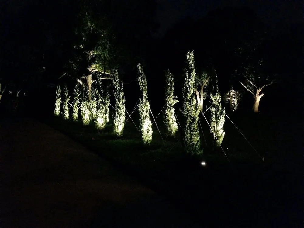 Professional landscape design experts serving Lafayette, LA - Lafayette Palms & Land Scaping