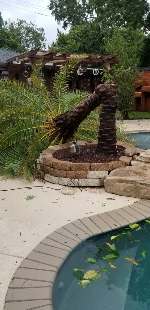 Trusted landscape installation for residential properties in Lafayette, LA by Lafayette Palms & Land Scaping