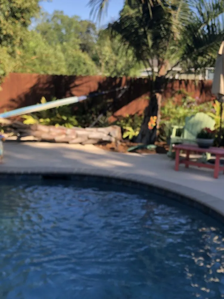 Affordable yard cleanup service experts serving Lafayette, LA - Lafayette Palms & Land Scaping