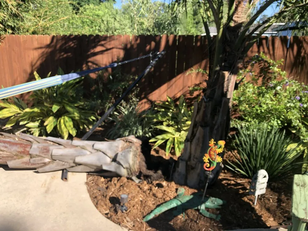 Expert landscape installation for year-round maintenance in Lafayette, LA by Lafayette Palms & Land Scaping