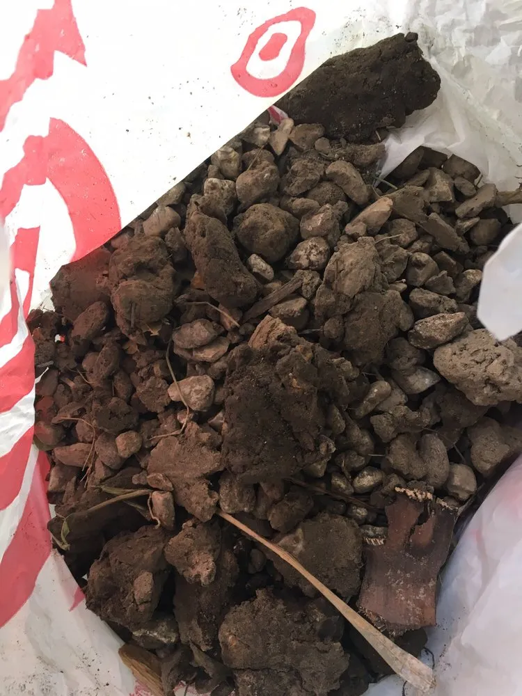 Trusted yard maintenance experts serving Lafayette, LA - Lafayette Palms & Land Scaping