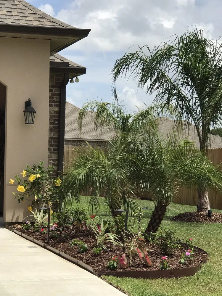 Professional yard cleanup service in Lafayette, LA by Lafayette Palms & Land Scaping