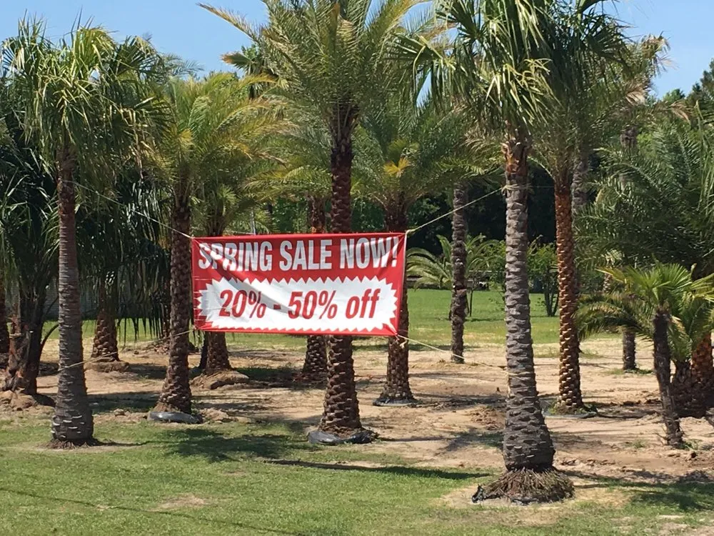 Top-rated yard cleanup service experts serving Lafayette, LA - Lafayette Palms & Land Scaping