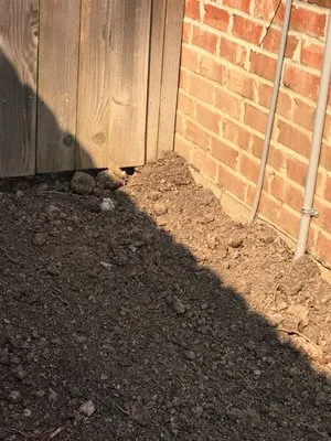 Lafayette Palms & Land Scaping Logo