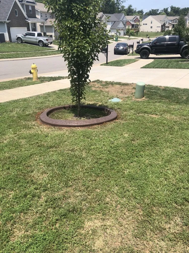 Custom lawn mowing service in Shepherdsville, KY by LaFever's Curbing