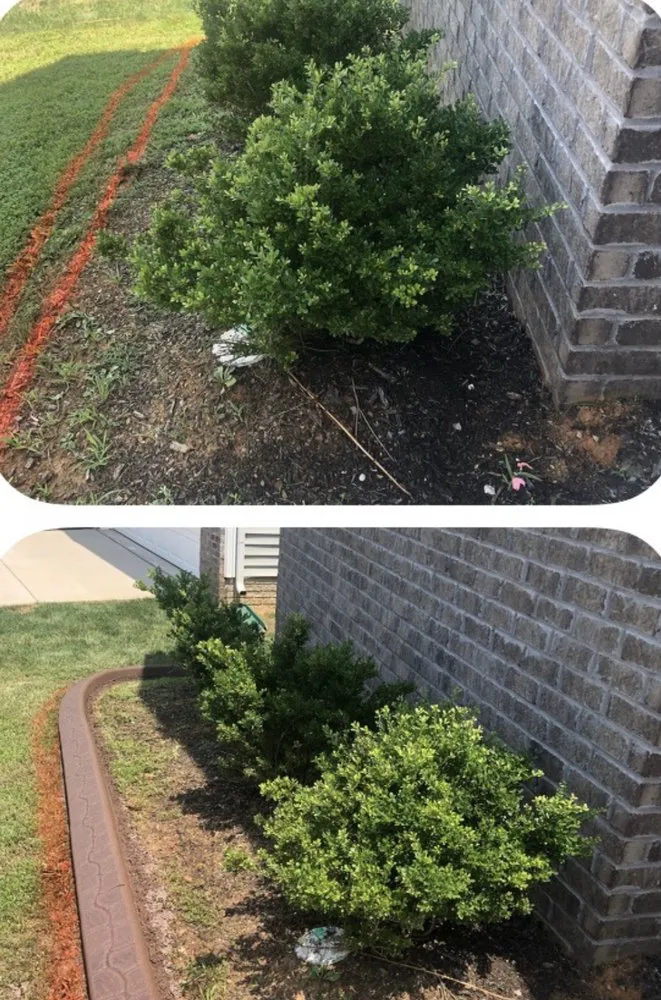 Professional landscape installation in Shepherdsville, KY - LaFever's Curbing