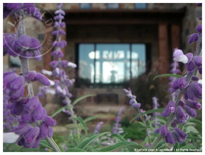 Top-rated outdoor landscaping in Helotes, TX by Lafield Lawn & Landscape