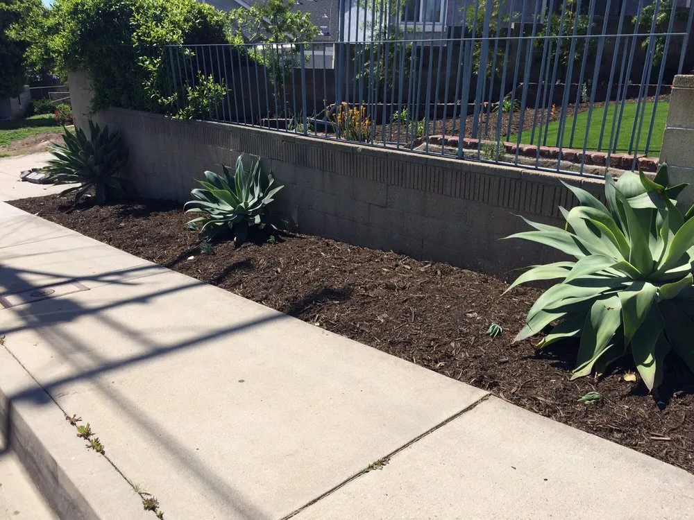 Affordable outdoor landscaping in San Pedro, CA - LaForest Landscaping