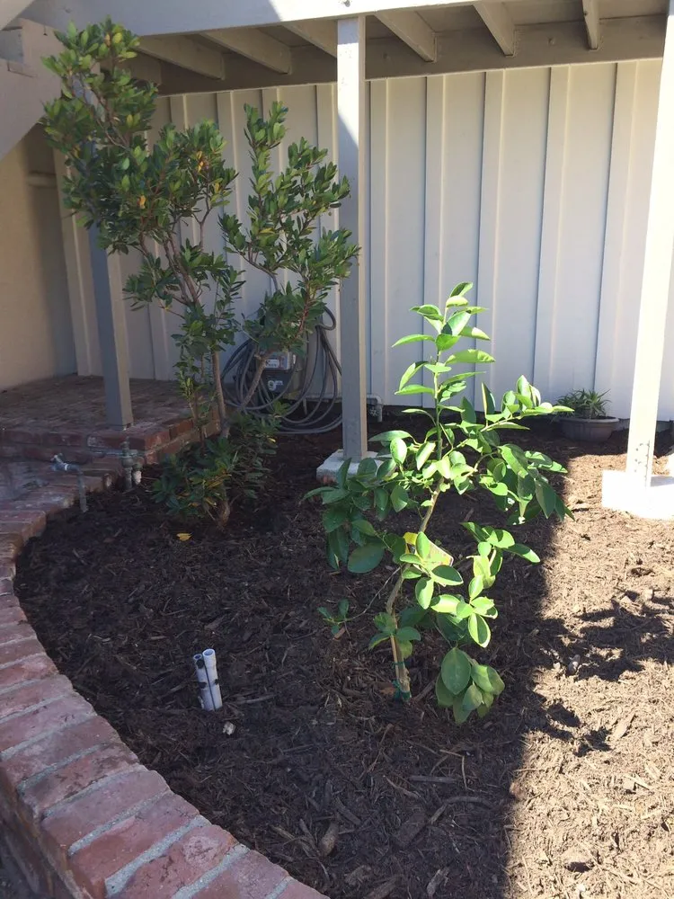 Expert landscaping services experts serving San Pedro, CA - LaForest Landscaping