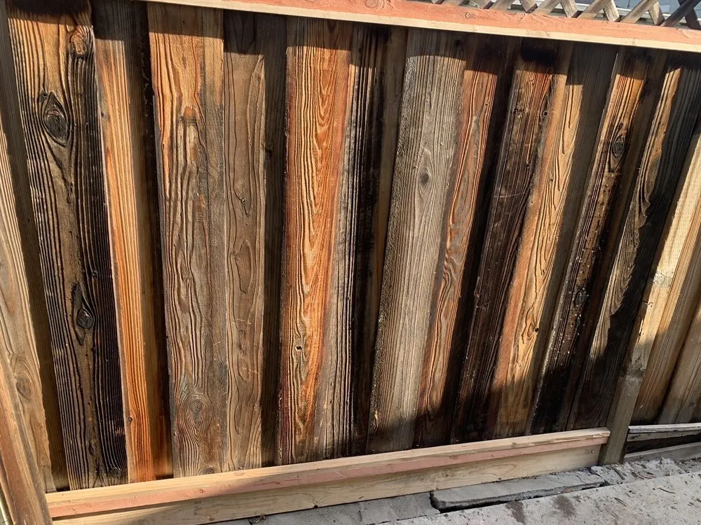 Reliable garden landscaping in San Jose, CA by Lagarto's Gardening