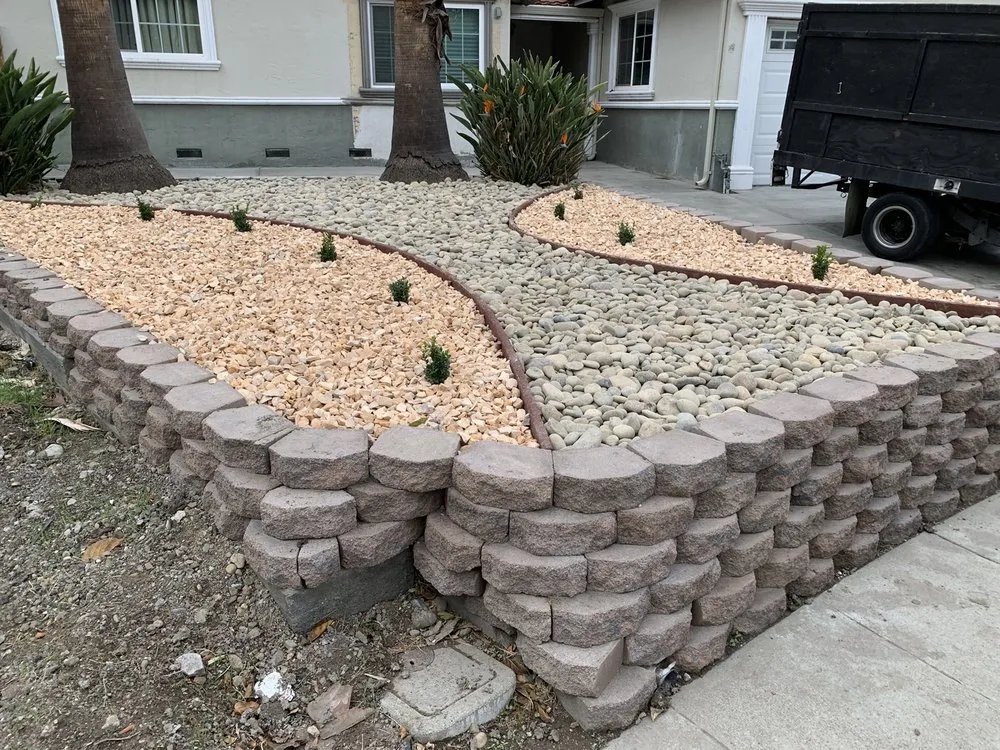 Professional yard maintenance in San Jose, CA - Lagarto's Gardening