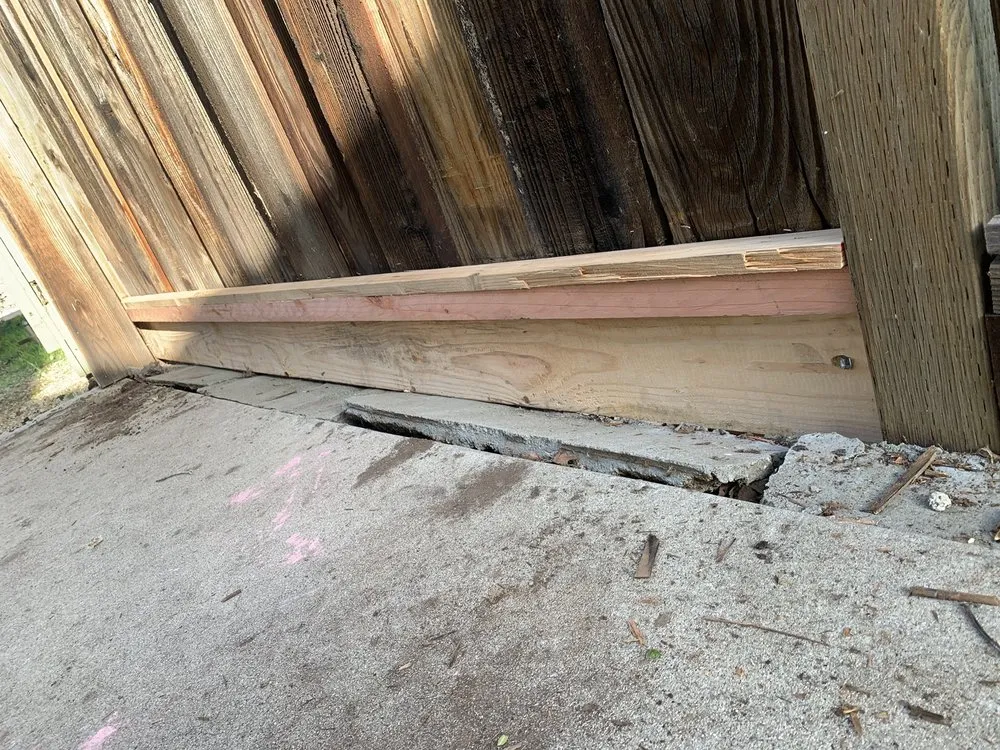 Trusted lawn care service for year-round maintenance across San Jose, CA - Lagarto's Gardening