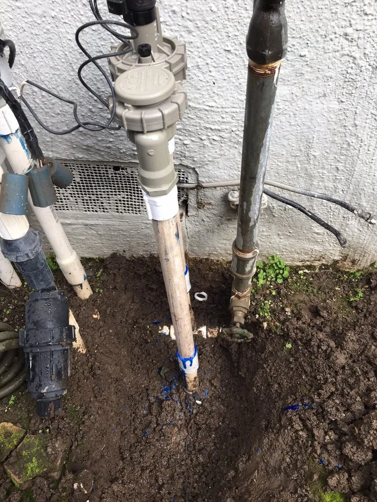 Trusted lawn care service in San Jose, CA by Lagarto's Gardening