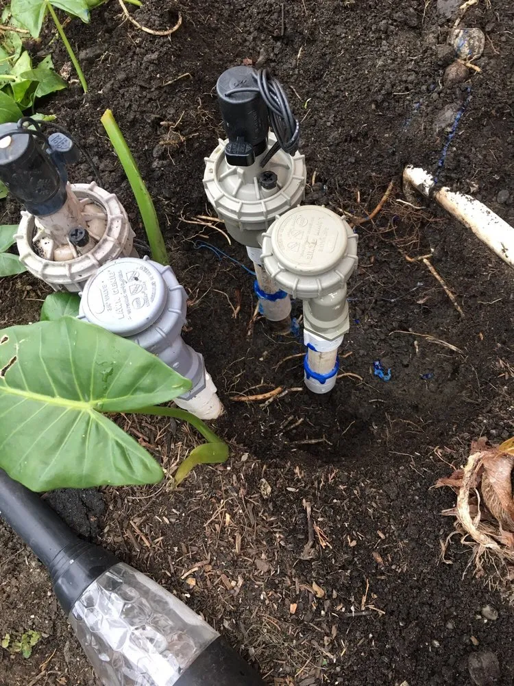 Expert landscape installation in San Jose, CA by Lagarto's Gardening