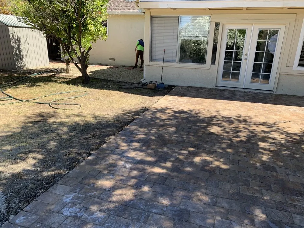 Trusted yard cleanup service in San Jose, CA by Lagarto's Gardening