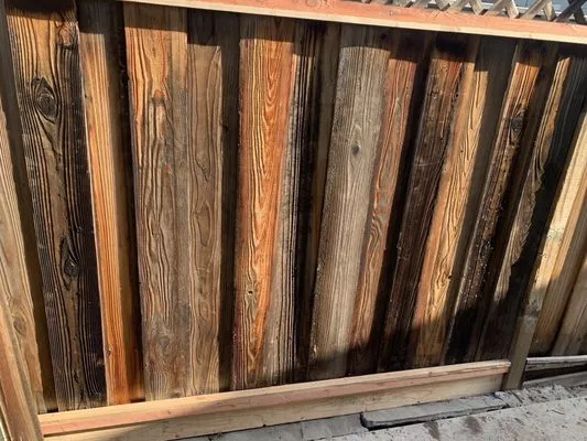 Lagarto's Gardening Logo