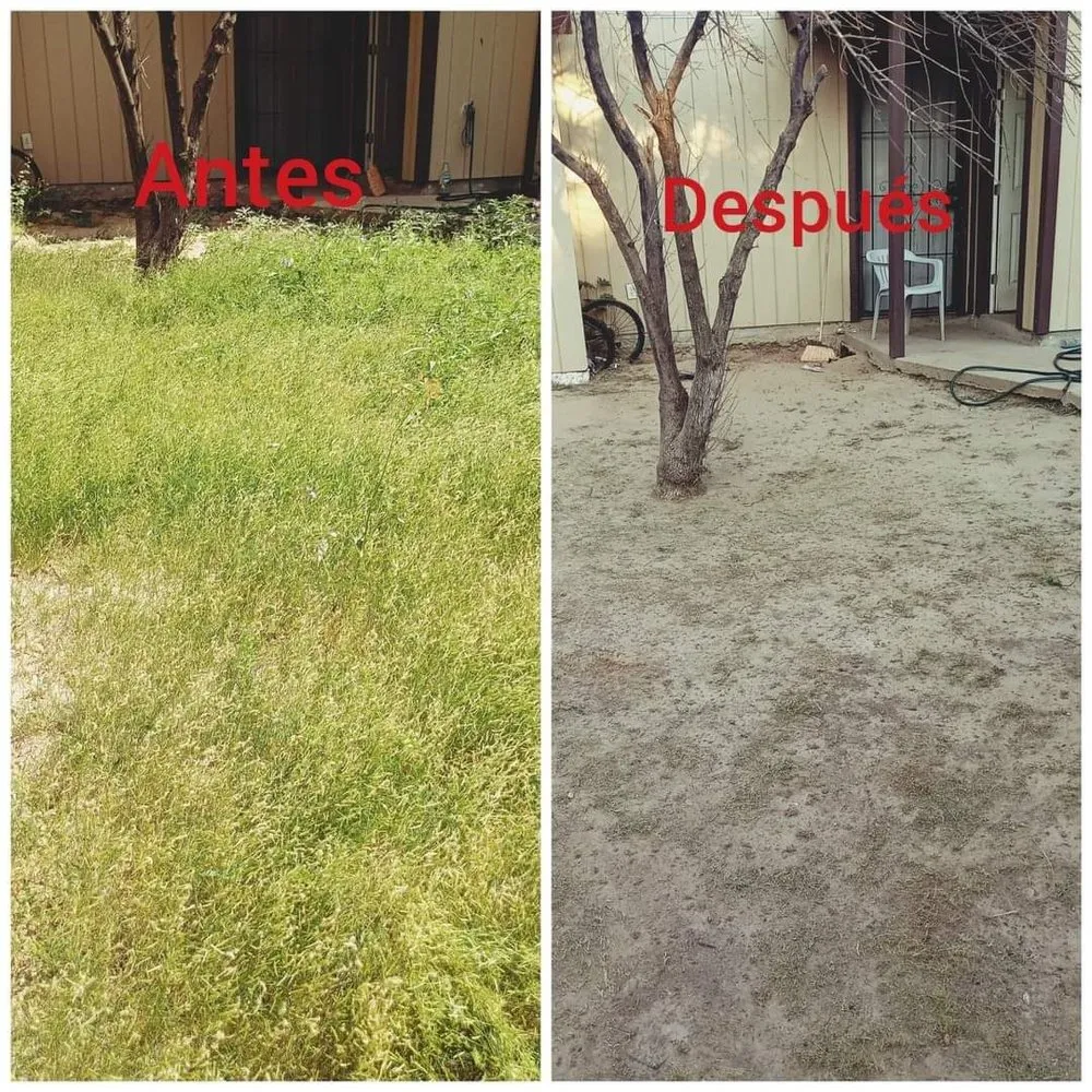 Custom landscaping services for year-round maintenance in Laredo, TX by Lagcaping Antonio Marquez