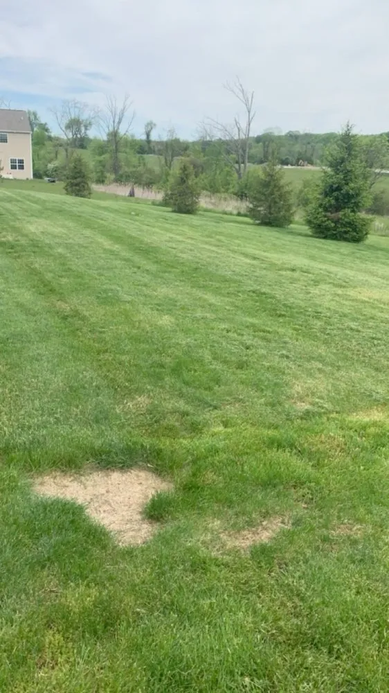 Affordable landscaping services experts serving Duncannon, PA - Lagers Landscaping And Home Improvements