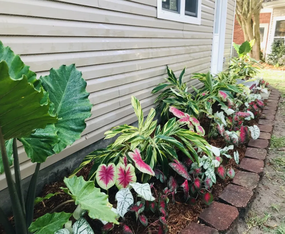 Trusted landscape design experts serving Kenner, LA - Lagniappe Lawns