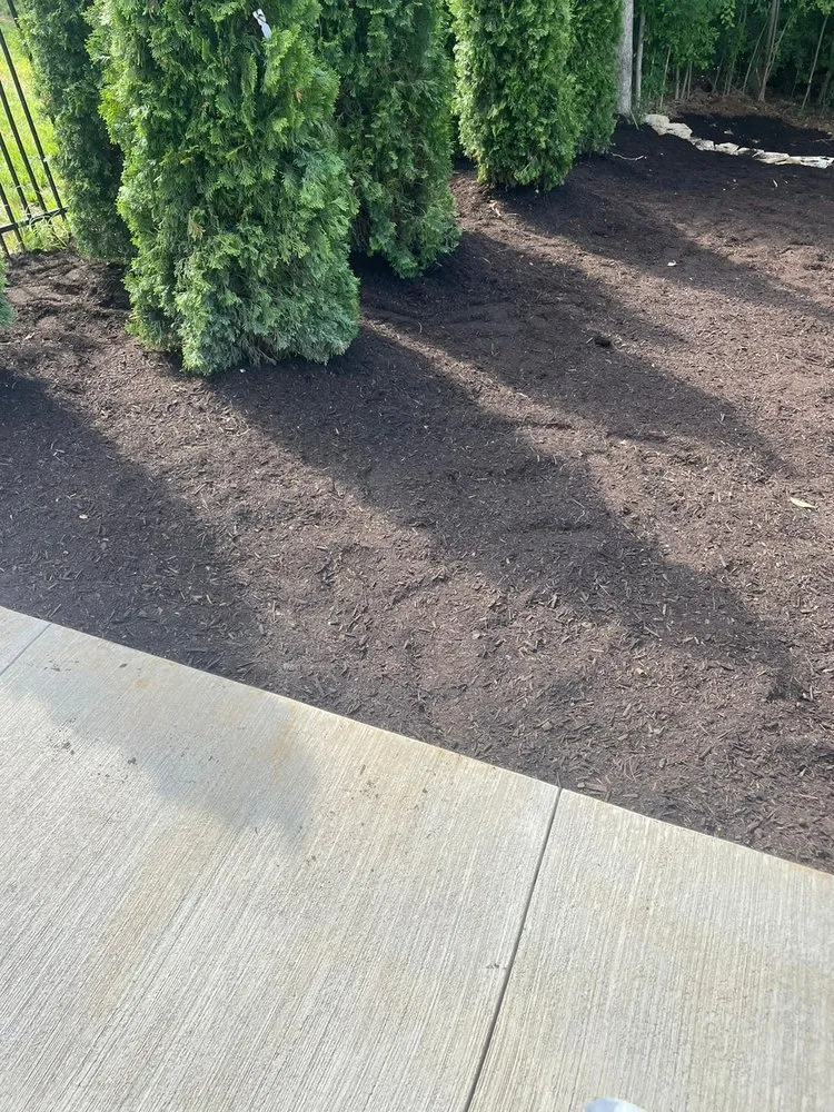 Affordable landscape installation in Charlotte, NC by Lagos Garden Landscaping