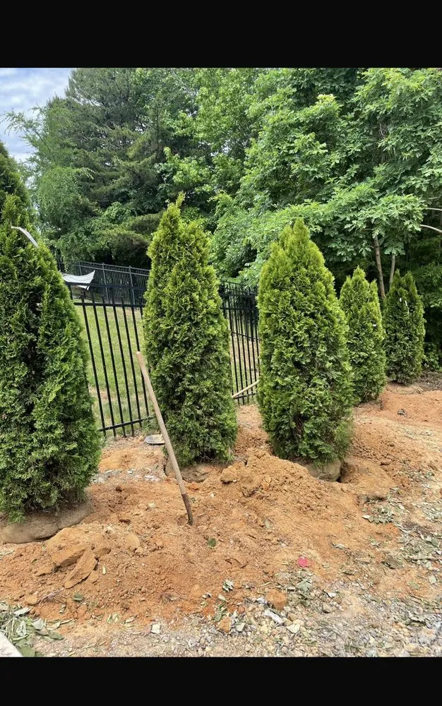 Affordable yard cleanup service experts serving Charlotte, NC - Lagos Garden Landscaping