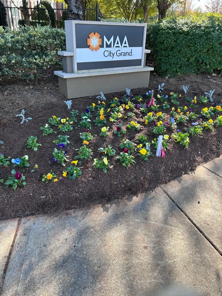 Professional garden landscaping experts serving Charlotte, NC - Lagos Garden Landscaping