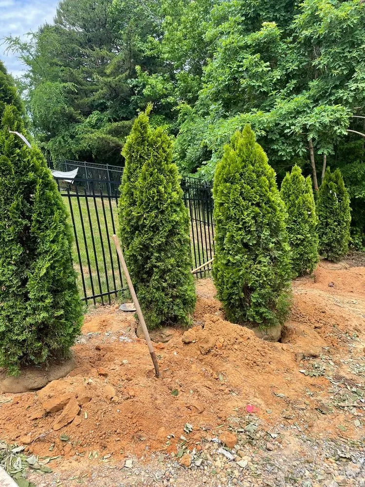 Custom yard cleanup service experts serving Charlotte, NC - Lagos Garden Landscaping
