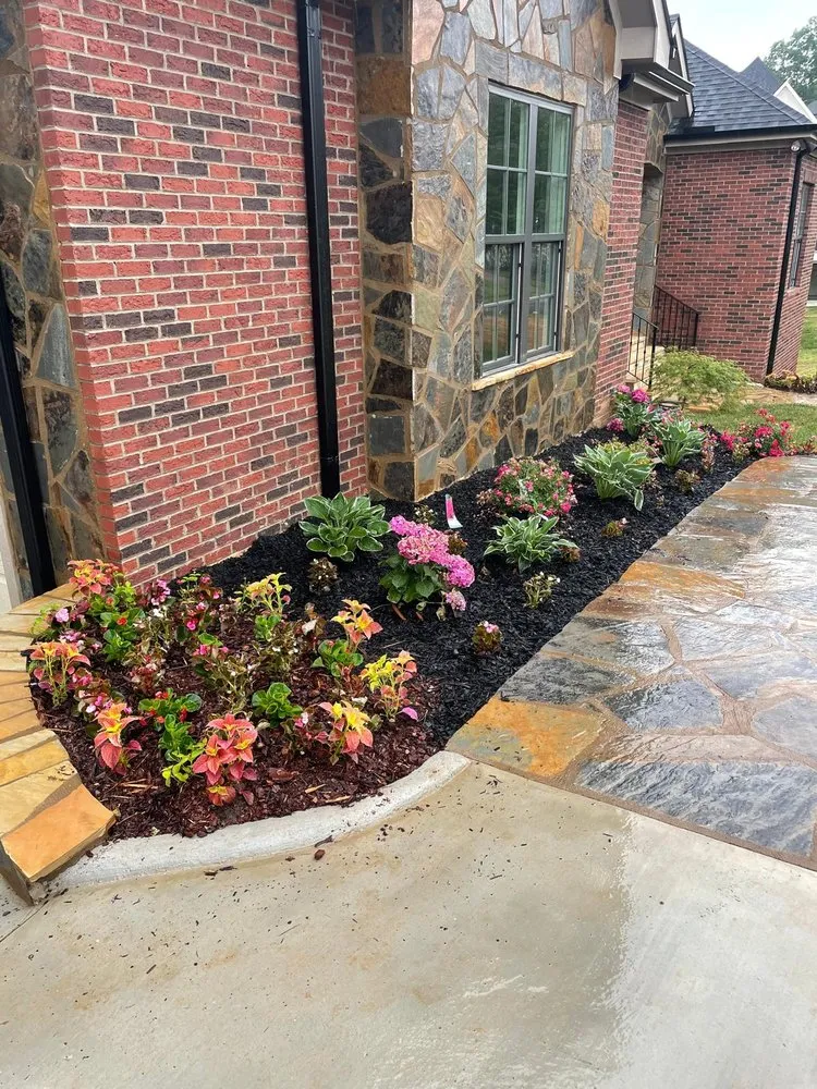 Expert yard cleanup service experts serving Charlotte, NC - Lagos Garden Landscaping
