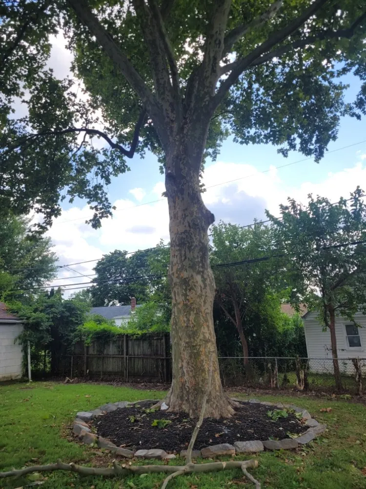 Affordable garden landscaping for beautiful yards in King of Prussia, PA by Lagos Landscaping Design